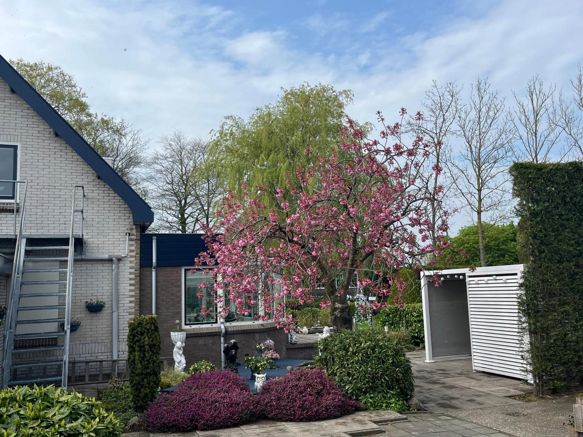 B&B Dol - Fijn Benningbroek Kültér fotó